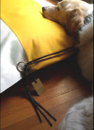 PET BED GIGI